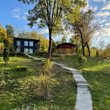 Casa De Pe Un Deal-Provita De Sus-Prahova Exteriér fotografie