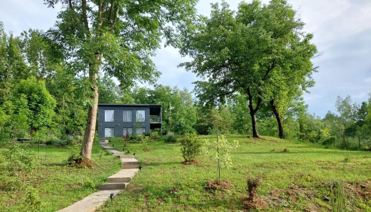 Casa De Pe Un Deal-Provita De Sus-Prahova Exteriér fotografie