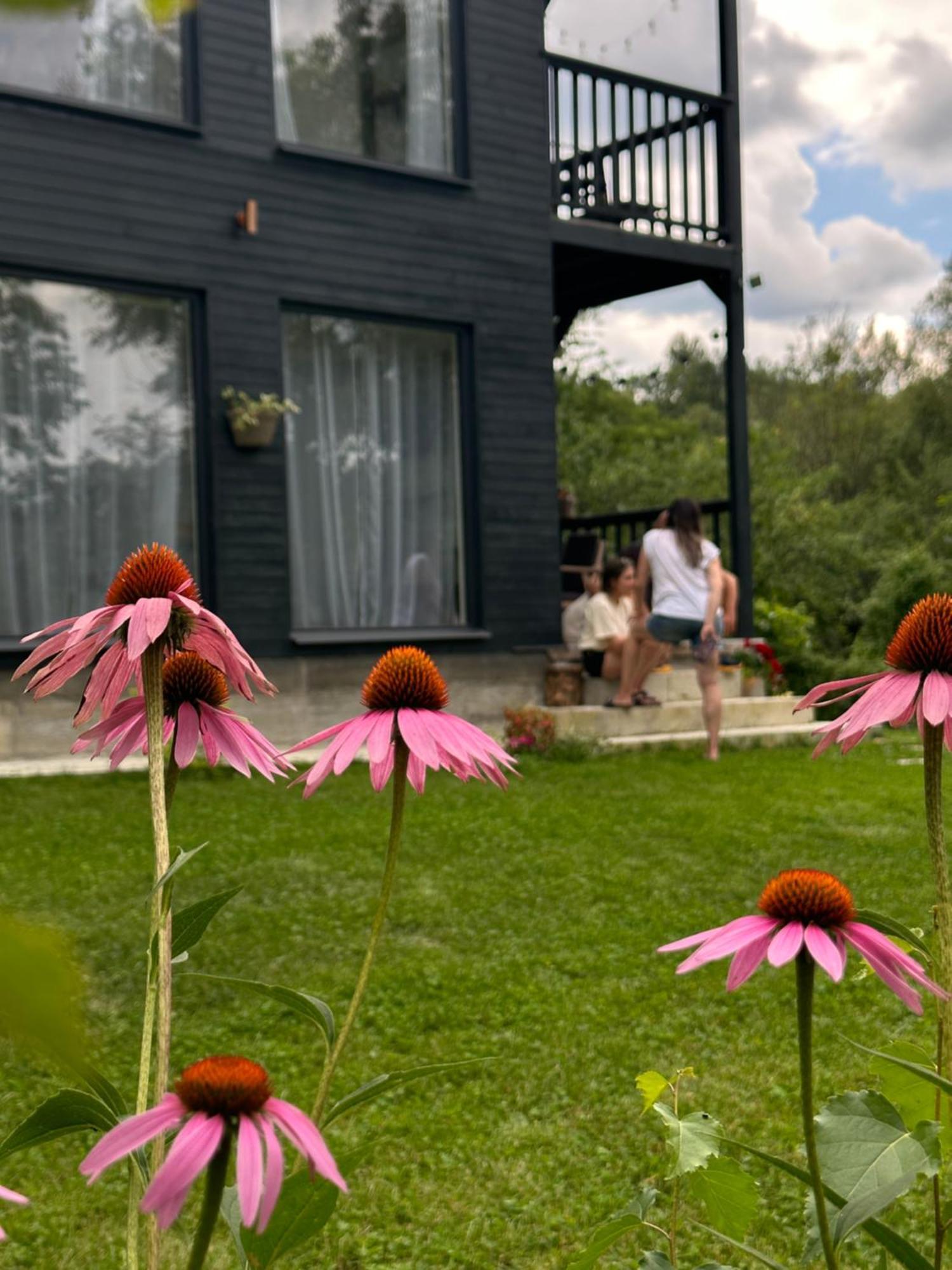 Casa De Pe Un Deal-Provita De Sus-Prahova Exteriér fotografie