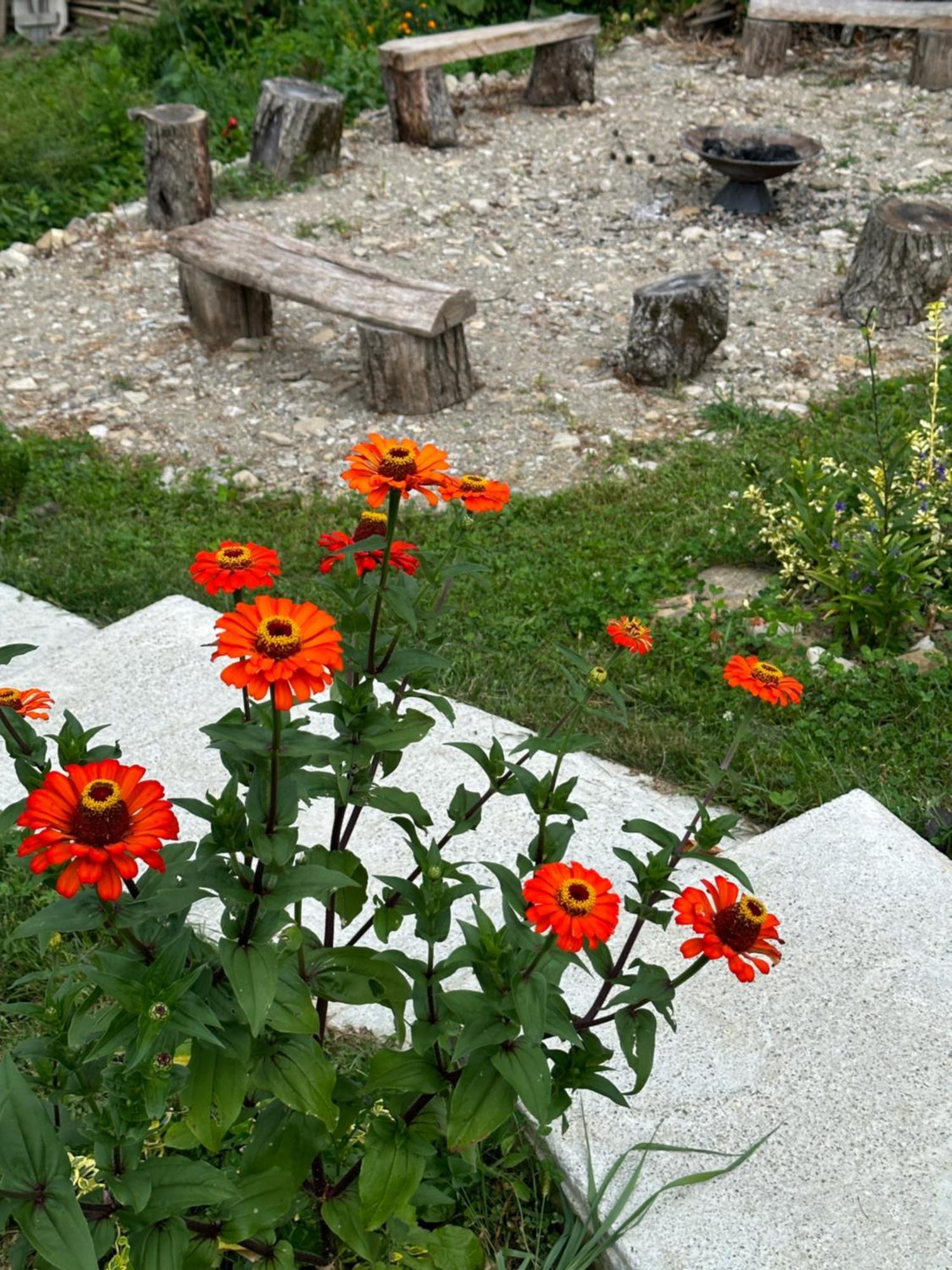 Casa De Pe Un Deal-Provita De Sus-Prahova Exteriér fotografie